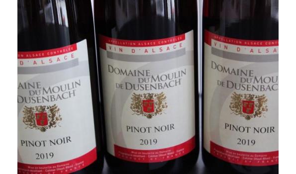 5 div flessen à 37,5cl wijn wo Domaine du Moulin de Dusenbach, Pionot Noir, 2019
